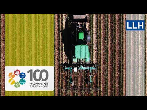 Mit Dammkultur Erträge sichern und Qualitäten fördern | Projekt „100 nachhaltige Bauernhöfe“