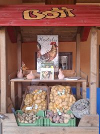 Galeriebild – Zum Vergrößern klicken: Kartoffelauslage