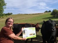 Galeriebild – Zum Vergrößern klicken: Betriebsleitung mit Hofschild