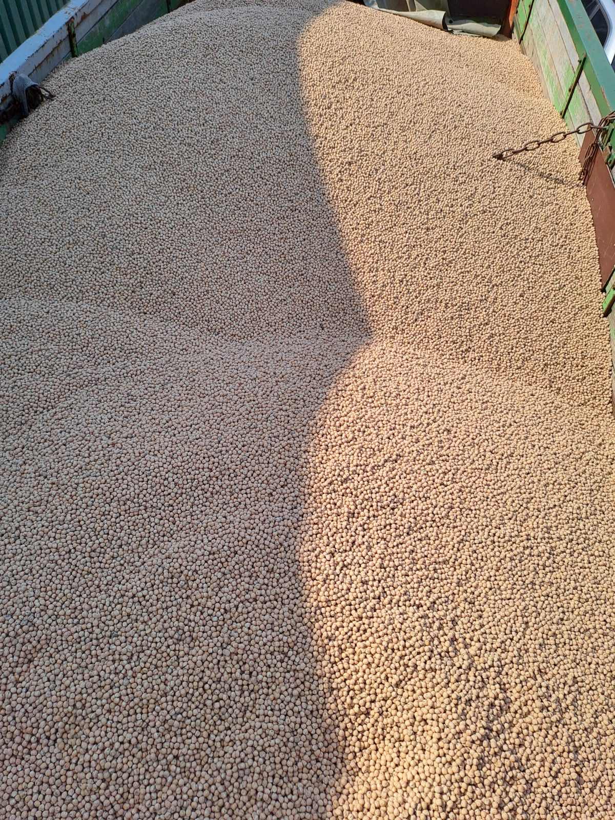 Bild links: Ernte 2025