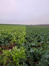 Galeriebild – Zum Vergrößern klicken: 