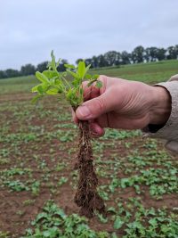 Galeriebild – Zum Vergrößern klicken: 