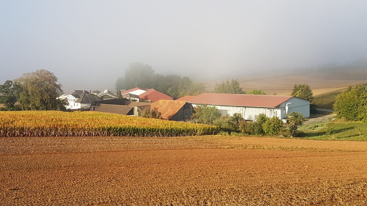 Böhm-Kohlbacher Hof