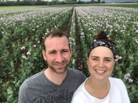 Galeriebild – Zum Vergrößern klicken: 