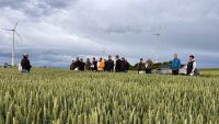 Galeriebild – Zum Vergrößern klicken: 